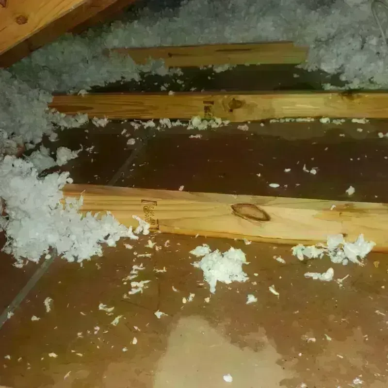 Attic Water Damage in Bethesda, OH