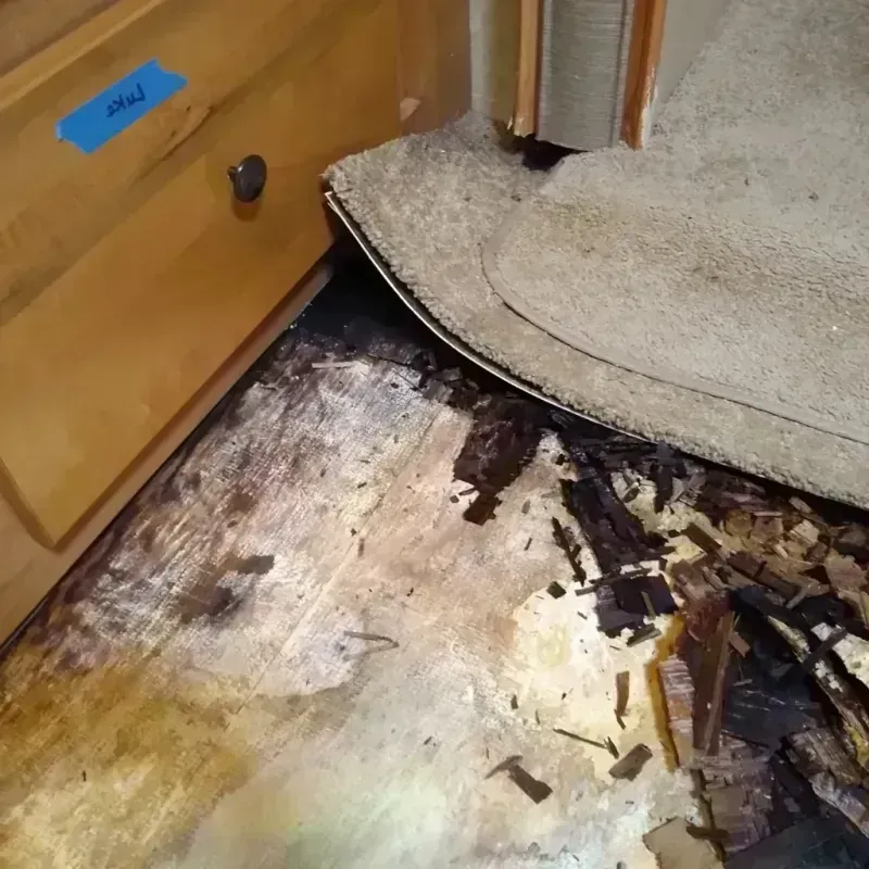 Best Wood Floor Water Damage Service in Bethesda, OH